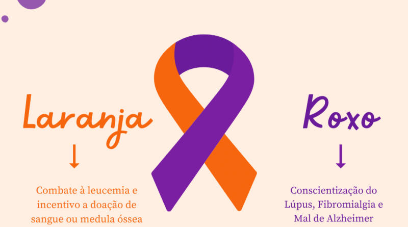 CAMPANHA FEVEREIRO ROXO E LARANJA